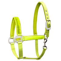 Reflex Halfter