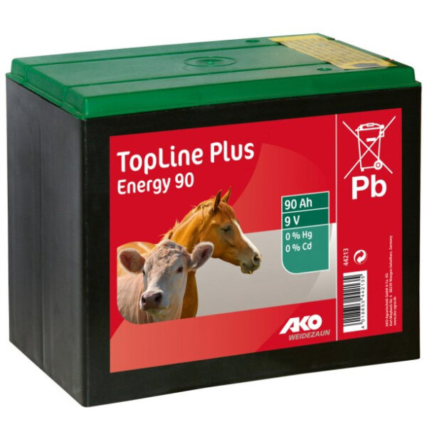 Zink-Kohle 9 V Trockenbatterie