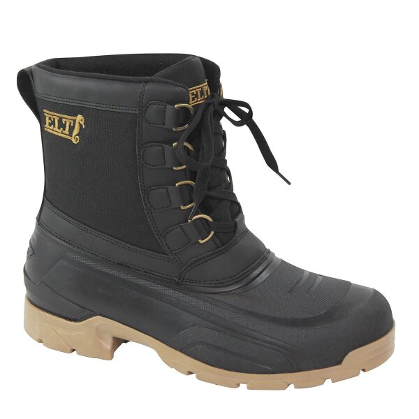 Stallschuh Montreal