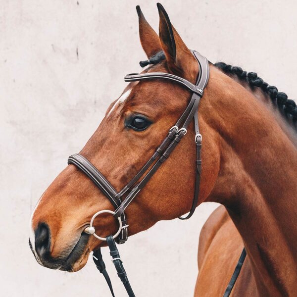 Trensenzaum Montreal Select