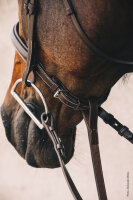 Trensenzaum Montreal Select