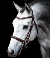 Trensenzaum Montreal Select