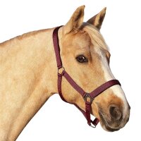 Euroriding Halfter Basic PONY schwarz