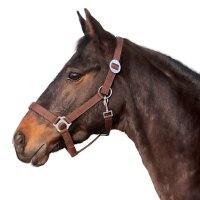 Euroriding Halfter Basic PONY schwarz