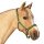 Euroriding Halfter Basic PONY schwarz