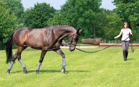 Longier-und Trainingssystem