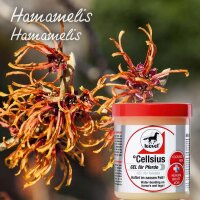 Leovet Cellsius für Pferde 600 ml
