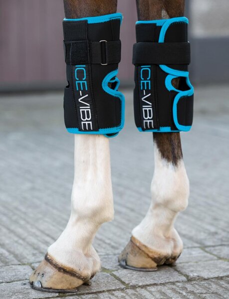 Horseware Ice-Vibe HW Knee Wrap NEW WB schwarz/blau