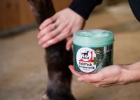 Leovet Cold Pack 500 ml grün