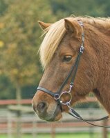 Busse Kopfstück Training-Ice PONY schwarz