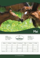 Tom Büttner Kalender 2026