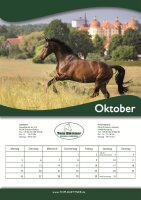 Tom Büttner Kalender 2026