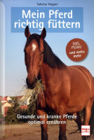 Mein Pferd richtig füttern