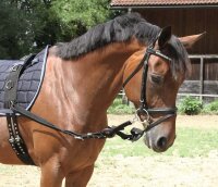 Kerbl Ausbindezügel WB schwarz