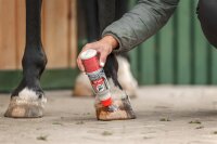 Leovet HUFLAB Huf Festiger