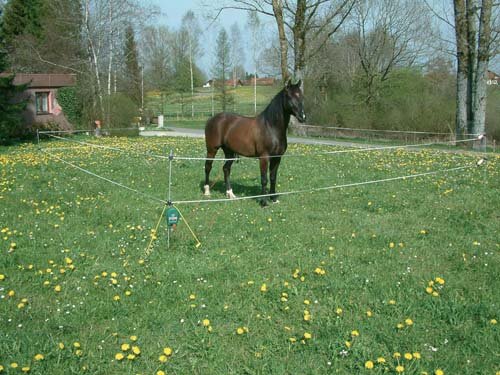 AKO Wanderreiter-Set 100m