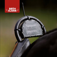 Birth Alarm Birth Mobile komplett