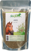 Stiefel Anis