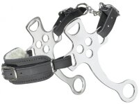 Hackamore