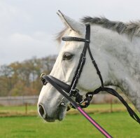 Busse Longierreithalfter HO WB schwarz