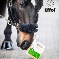 Effol med HufstrahlVital Syrup
