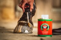 Carr & Day & Martin Cornucrescine Teebaum Huföl 500 ml