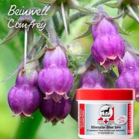 Leovet Silbersalbe 150 ml