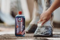 Leovet Schimmel Shampoo 500 ml