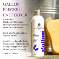 Carr & Day & Martin Fleck-Entfernungs Shampoo 500 ml