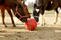 Kerbl Futterspielball Heuboy blau