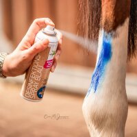 B&E Desinfektionsspray blau 200 ml blau