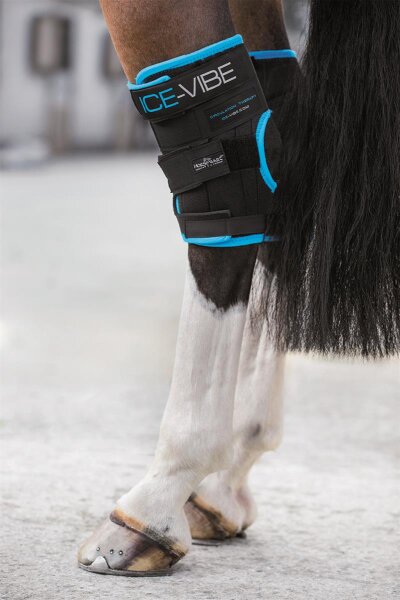 Horseware Ice Vibe Hock Wrap New WB schwarz