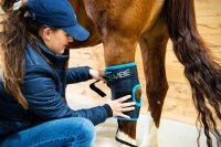 Horseware Ice Vibe Hock Wrap New WB schwarz