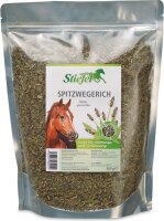 Stiefel Spitzwegerich