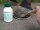 KERALIT-Huffestiger 250 ml
