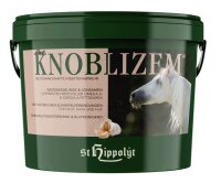 Knoblizem