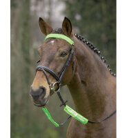 Waldhausen Reflex Trensenzaum Set UNI neongrün