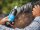 Carr & Day & Martin Itchgard 500 ml