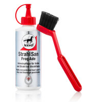 Strahlsan mit Pinsel