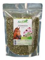 Stiefel Echinacea