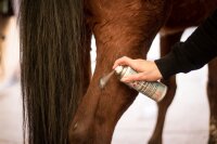 Leovet Zinkoxid Spray