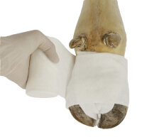 Polsterbinde CottinoStar