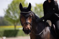 Eskadron Fliegenohren Sport Dynairmesh PONY schwarz