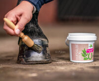 B&E Hufsalbe 500 ml grün