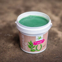 B&E Hufsalbe 500 ml grün