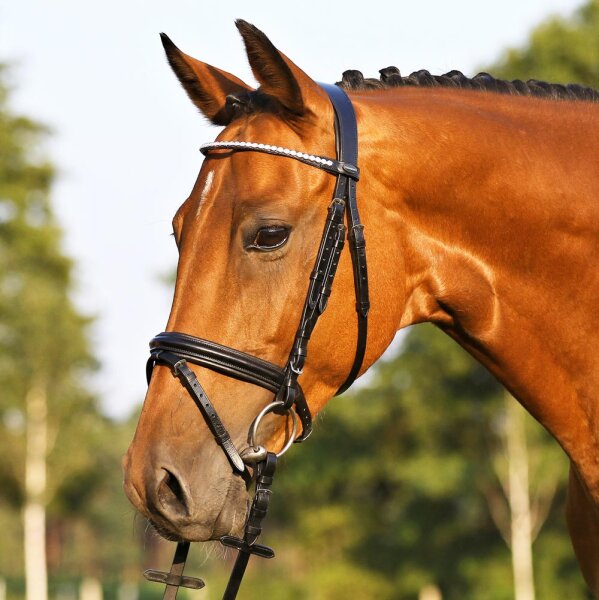 Euroriding Trense Royan