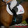 Superior Chafe Guard EVO