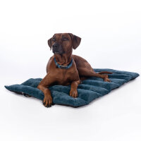 Hundedecke Anam Cara Travel