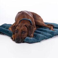 Hundedecke Anam Cara Travel