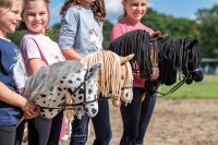 Hobby Horse